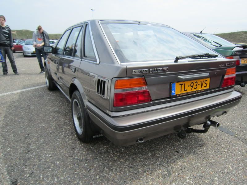 Bluebird003.jpg