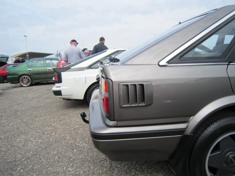 Bluebird004.jpg