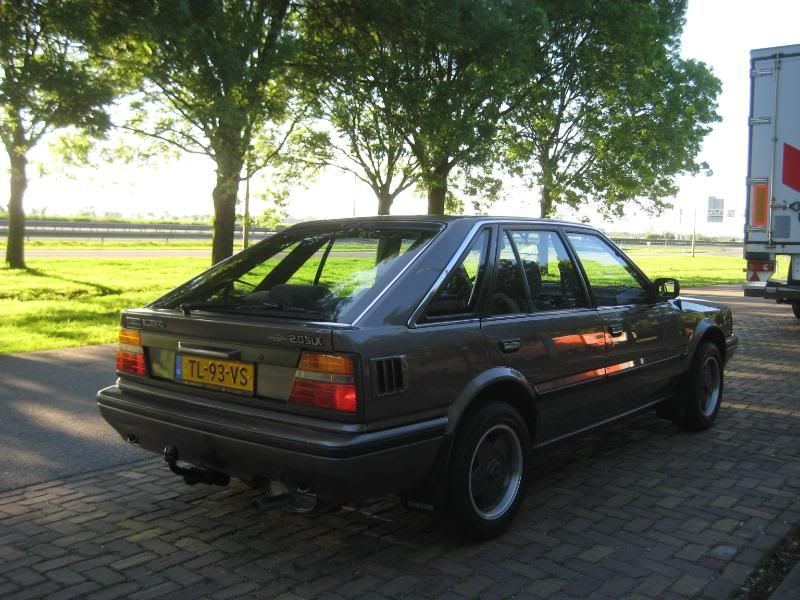bluebirdopgehaald010.jpg