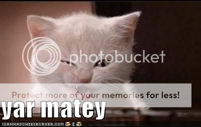https://i49.photobucket.com/albums/f279/penney1115/Funny%20Pix/funny-pictures-pirate-kitten.jpg