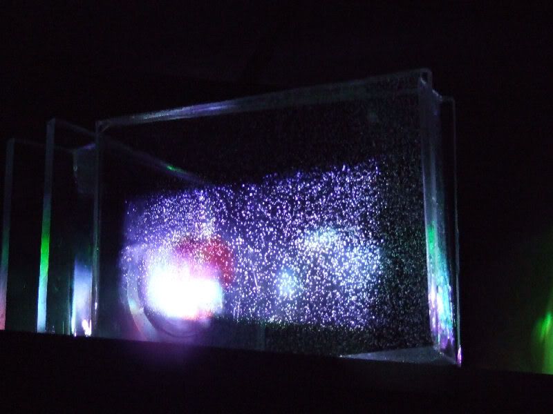 DSCF3575.jpg