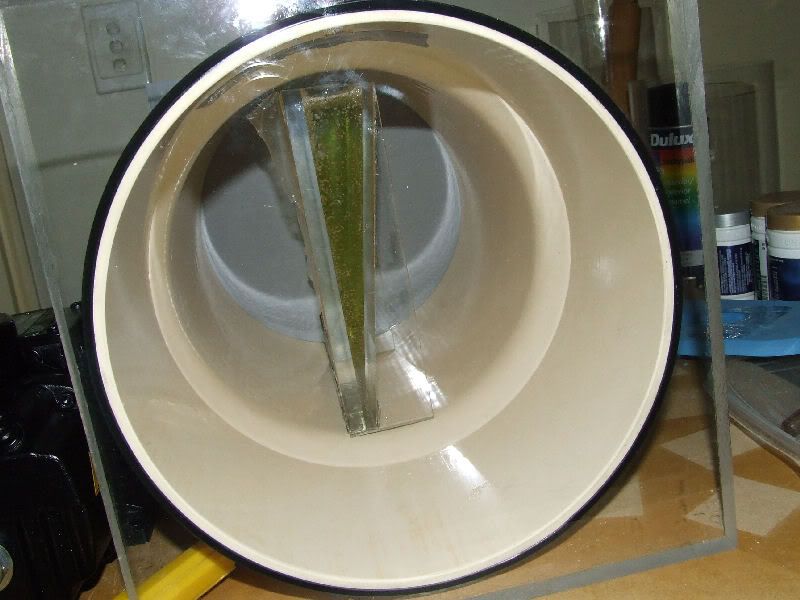 DSCF3978.jpg