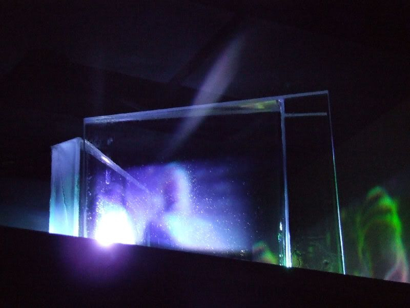 DSCF4276.jpg