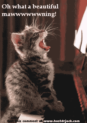SingingCat.gif